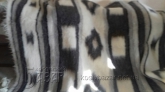 ліжник